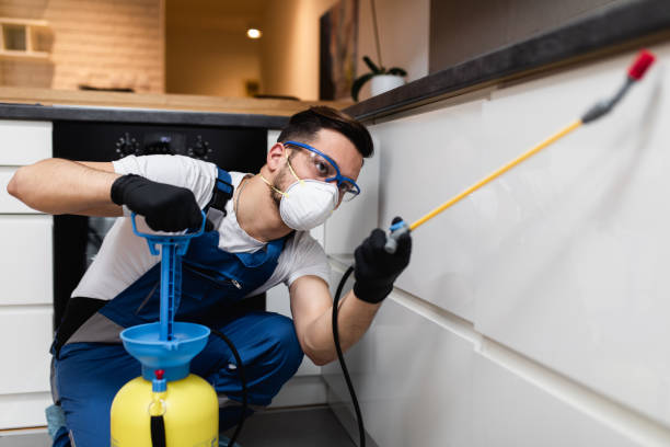 Reliable Emerald Bay, TX Pest Control Solutions