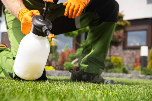 Best Mosquito Control Services  in Emerald Bay, TX
