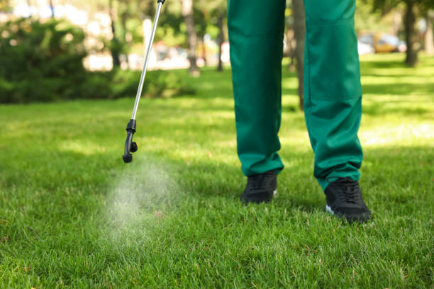 Best Pest Inspection Near Me  in Emerald Bay, TX