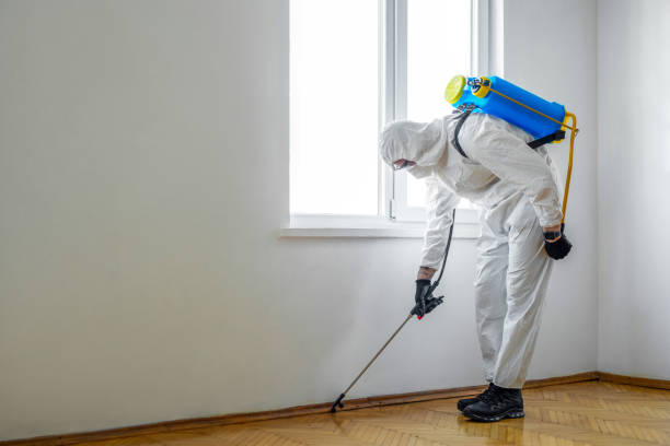 Flea Control Services in Emerald Bay, TX