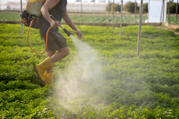 Best Commercial Pest Control Services  in Emerald Bay, TX