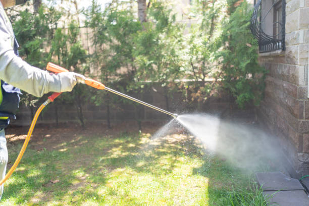 Best Pest Prevention Services  in Emerald Bay, TX