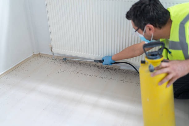 Pest Control for Restaurants in Emerald Bay, TX